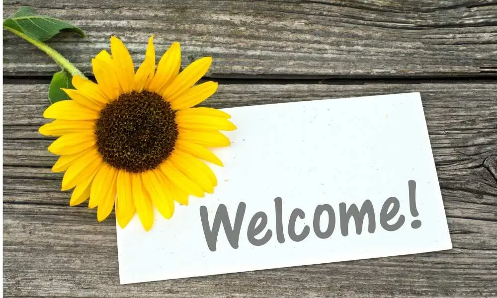 Short Rental Articles 17 welcome airbnb guests
